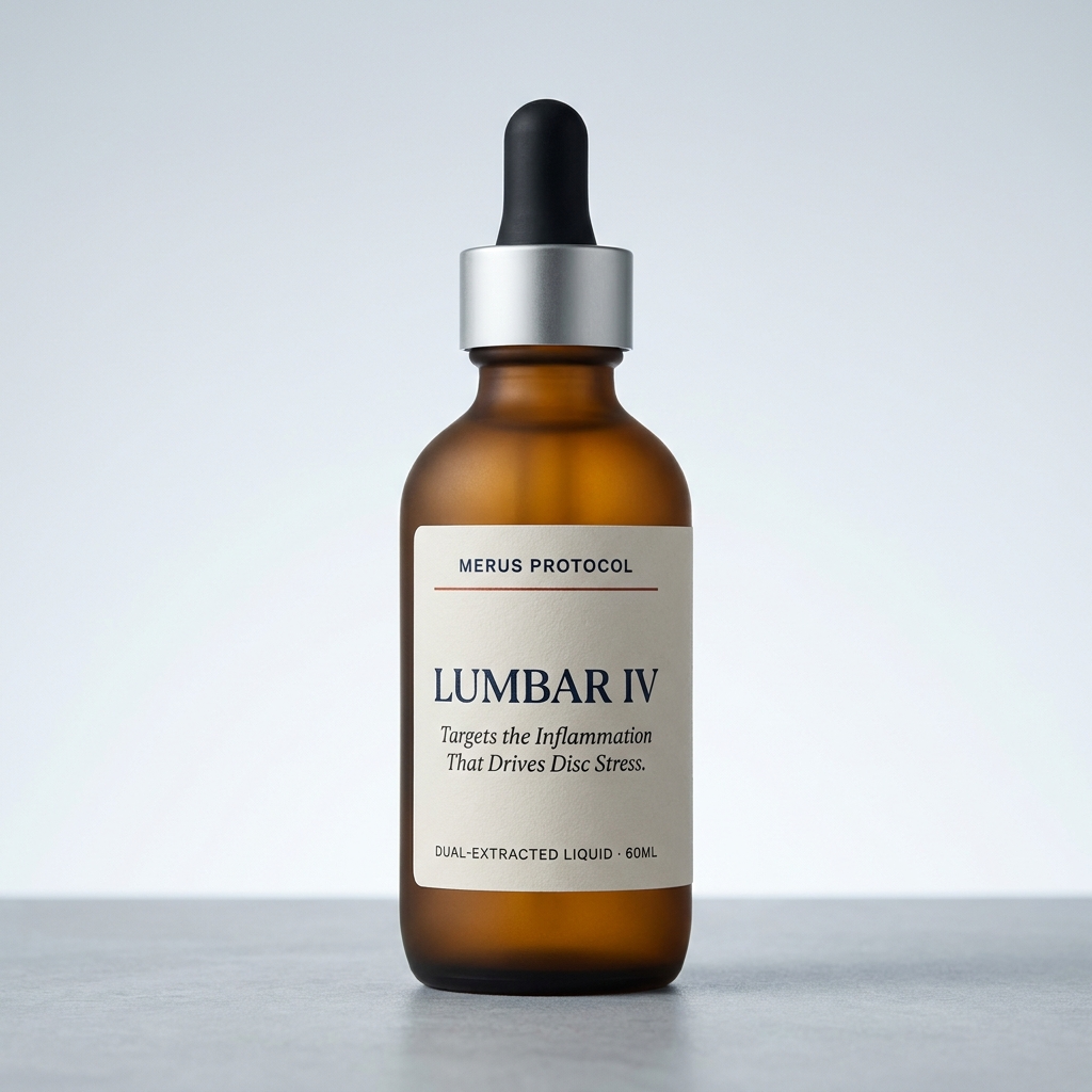 Lumbar IV — Protocolo de Recuperación de Disco