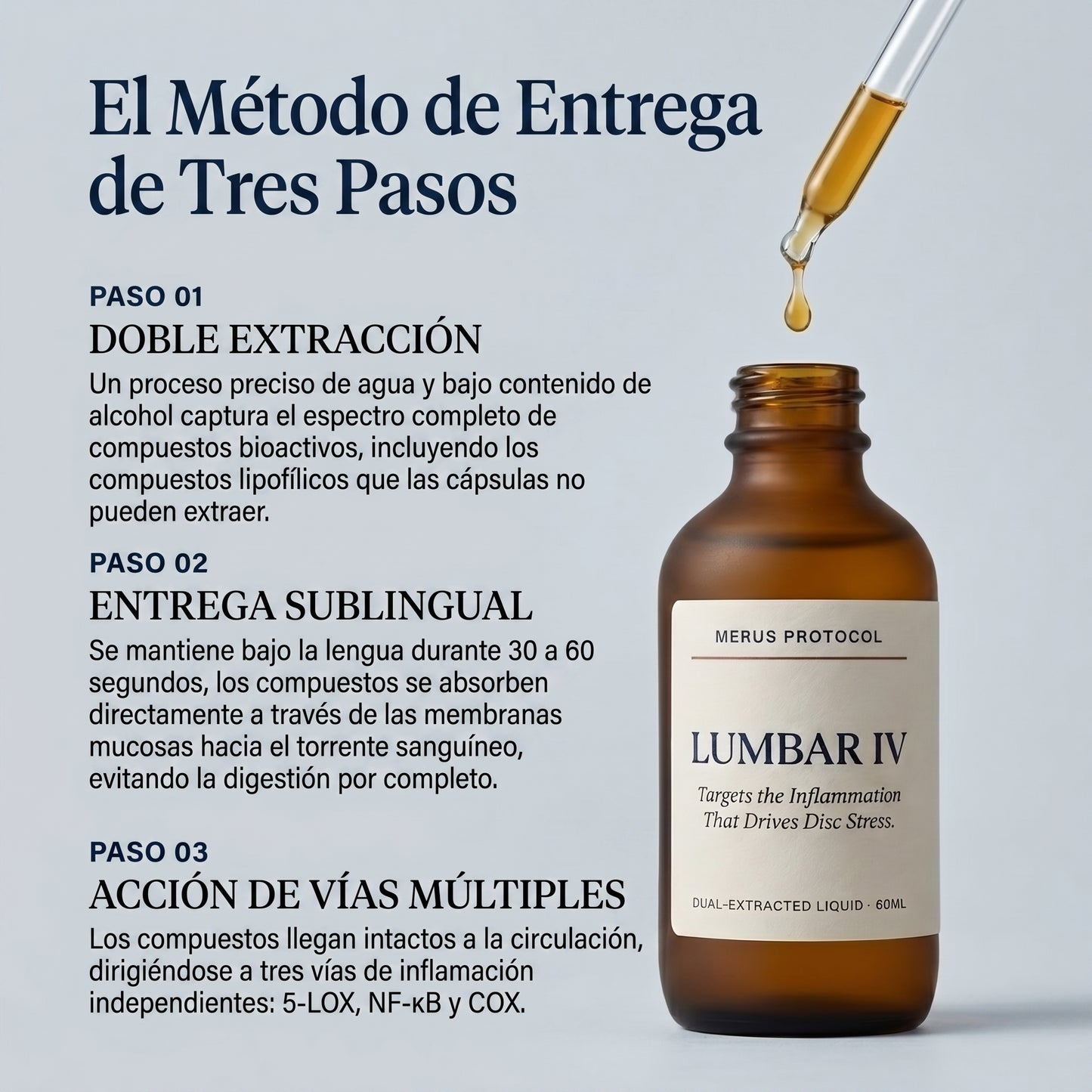 Lumbar IV — Protocolo de Recuperación de Disco